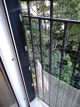 cat proof 3.jpeg