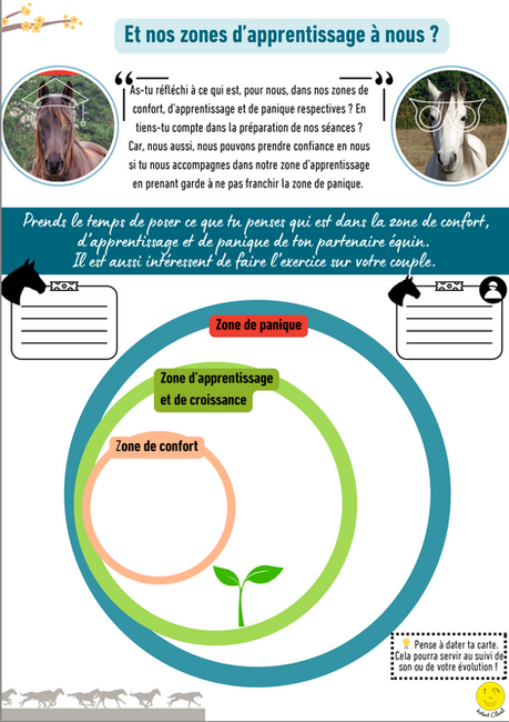 Sortir de sa zone de confort et trouver sa zone d'apprentissage pour le cheval comme pour l'humain