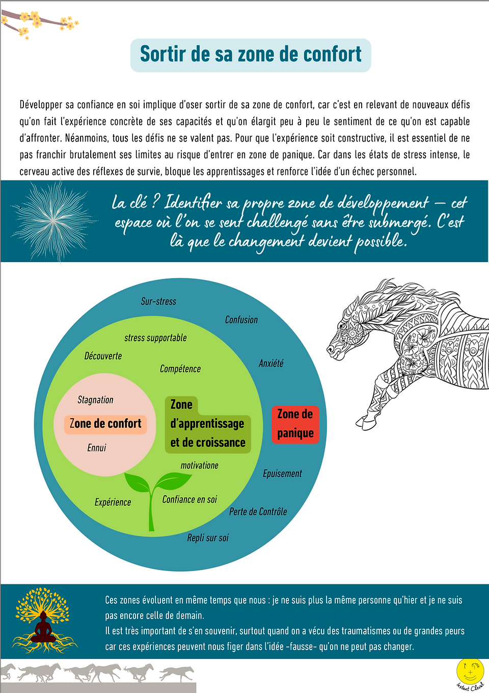 Sortir de sa zone de confort et trouver sa zone d'apprentissage pour le cheval comme pour l'humain