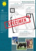 affiche pédagogique cheval les endroits de son corps à observer pour comprendre son langage non verbal