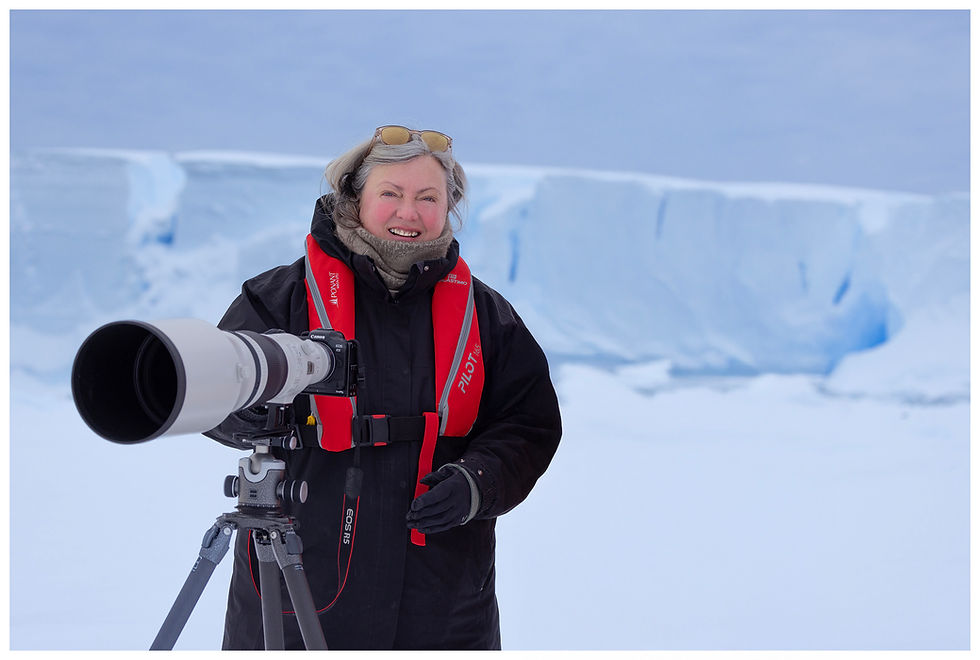 Sue Flood Awarded OBE for Services to Photography, Science and Conservation