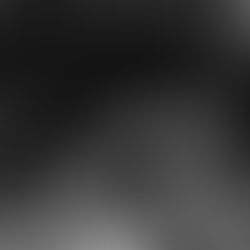 To Stand and See: On Hope, Change, and the Work of Witness