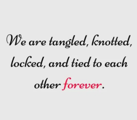 50 Amazing Quotes for the wedding invitation card