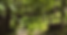 BANNER SITO.png