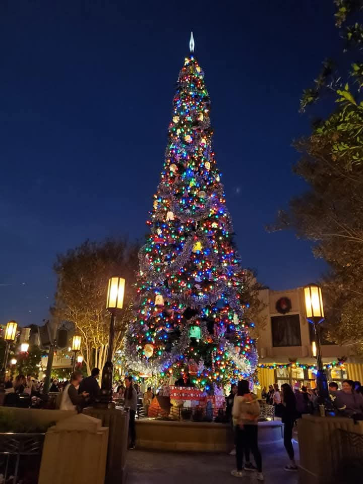 Photo Credit Jillian Wallin