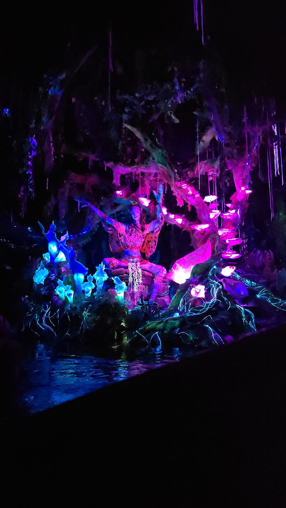 Photo Credit JillianWallin