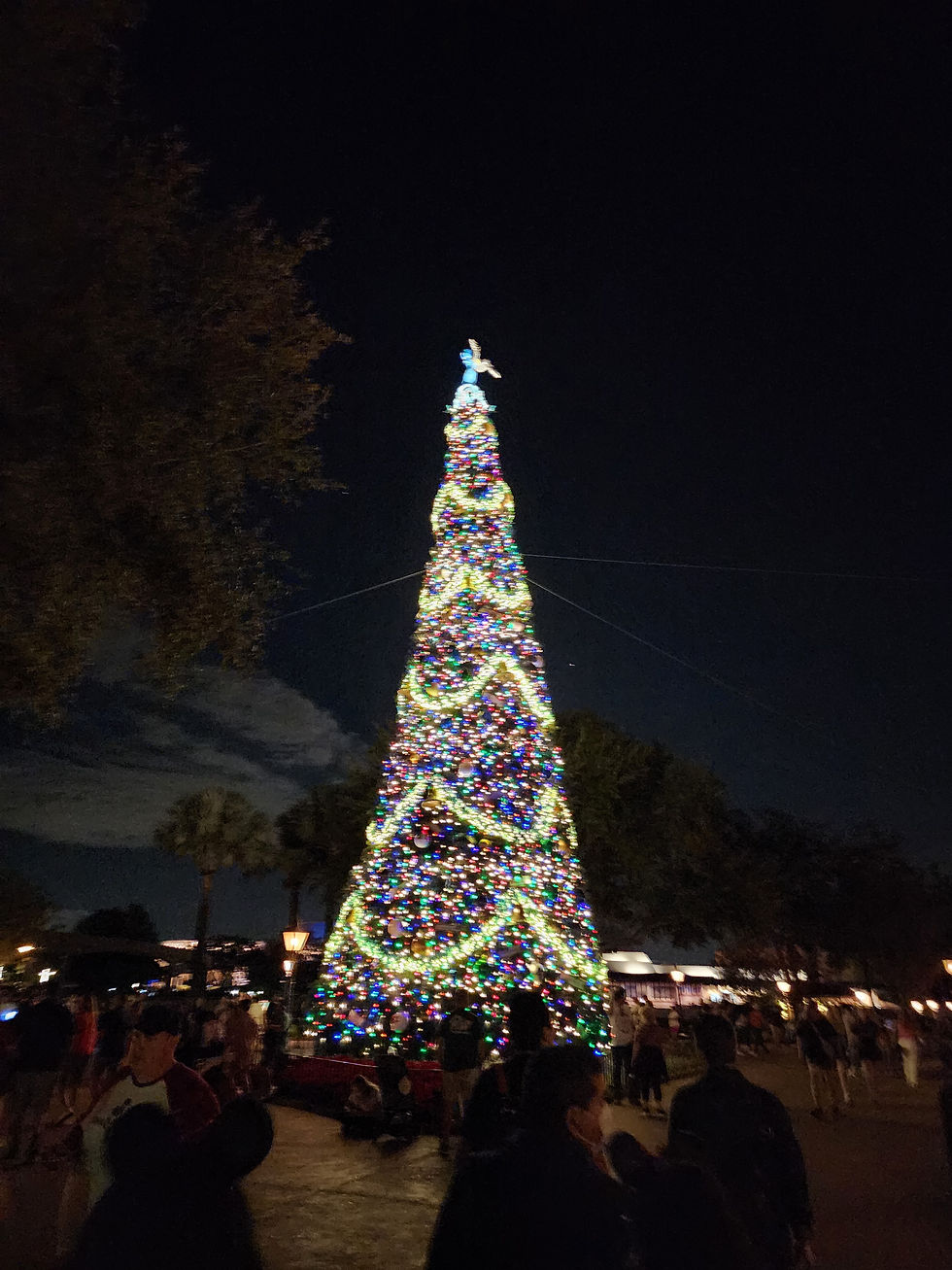 Photo Credit: Jillian Wallin