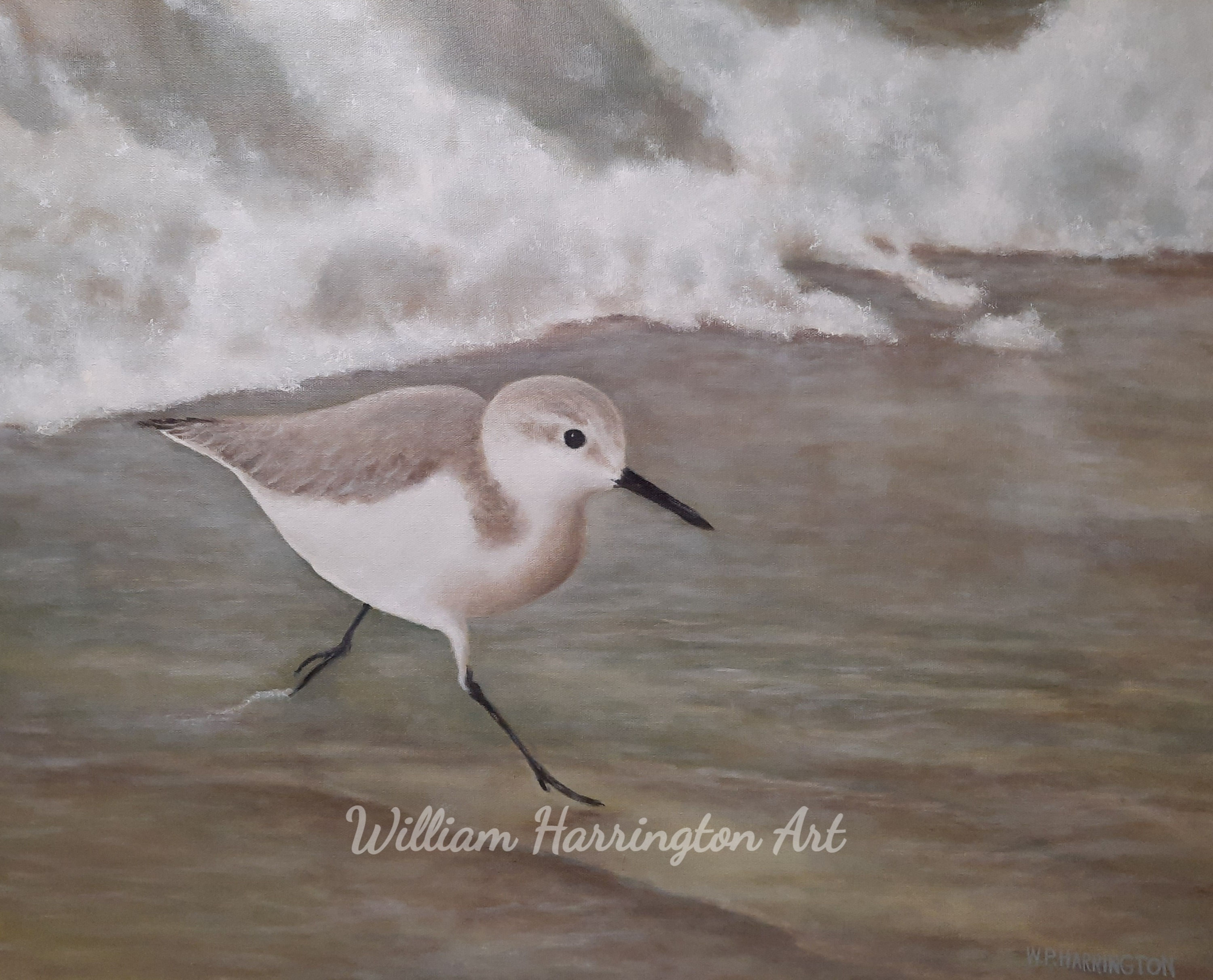 #37 Sandpiper 24x30