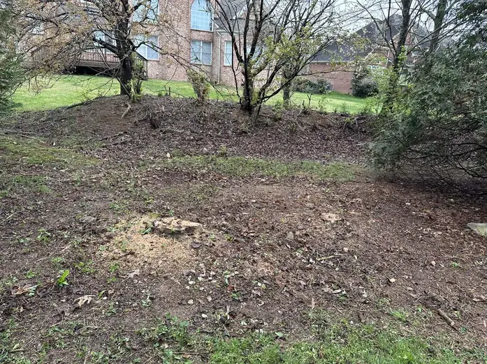 Tree Removal Clarksville, TN