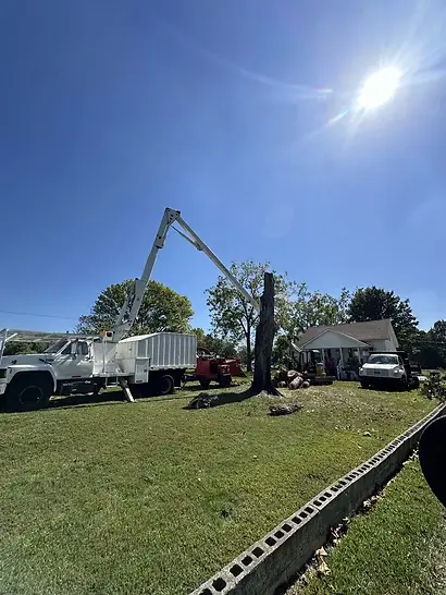 Clarksville-tn-tree removal (40).webp