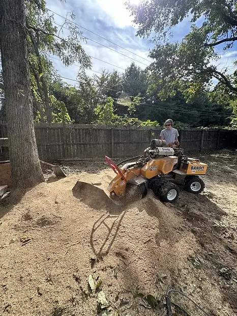 Clarksville-tn-tree removal (45).webp