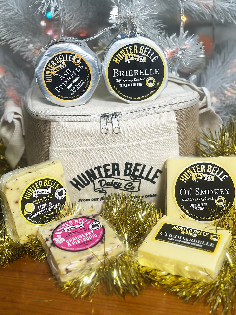 Christmas Cooler Bag