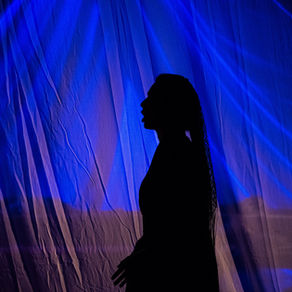 ÉCRIRE L'HIVER XXIX