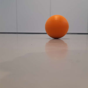 ÉCRIRE L’AUTOMNE XXI