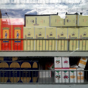 ÉCRIRE L’AUTOMNE XV