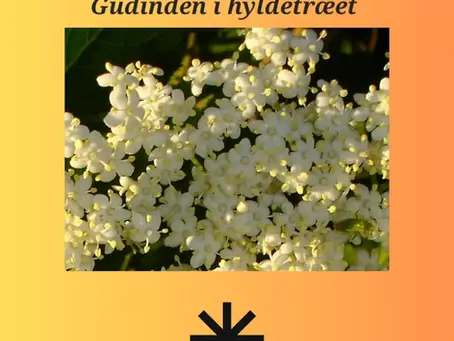 Hyldemor, gudinden i hyldetræet
