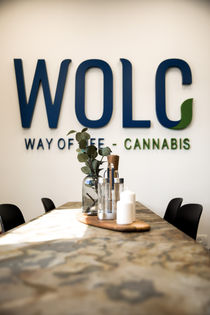 Studio MEL Design WOLC interior design