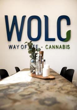 Studio MEL Design WOLC interior design