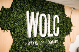 Studio MEL Design WOLC interior design