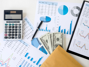 The Entrepreneur's Guide to Setting Up Financial Controls
