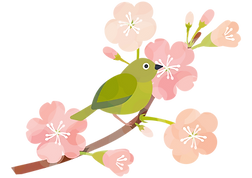 サクラと鳥