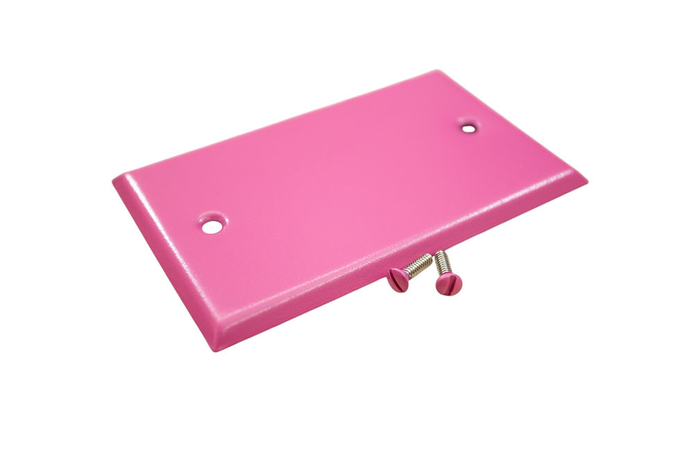 Thumbnail: Pink blank switch plate on white background