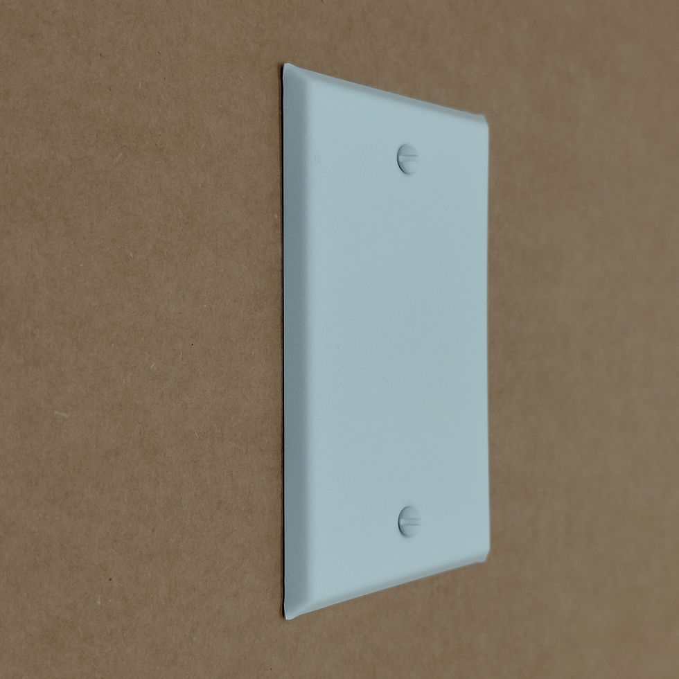 Thumbnail: White blank switch plate on brown background