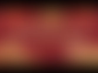 中国文化月-马年吉祥