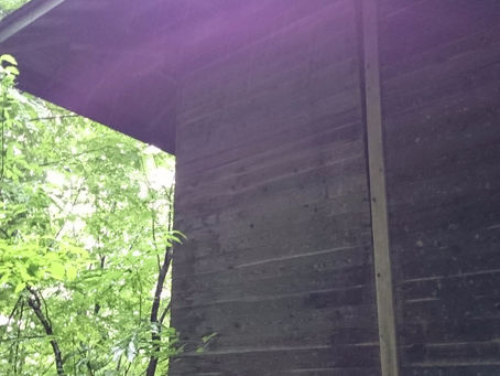 廃墟となった神社の神様は......