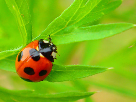 メッセージに気付くこととは