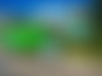 Dumpster Drop-Off and