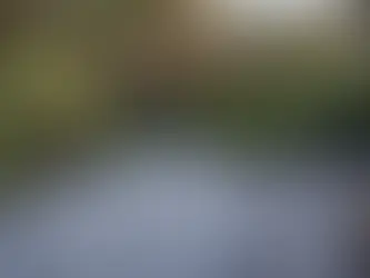 Common Deck Maintenance Mistakes Homeowners Make in Coastal Climates