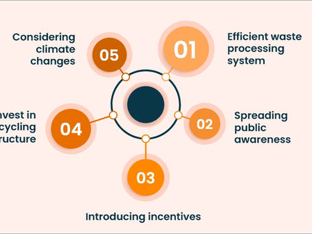 Improving Waste Management in Workplaces A Guide to Sustainability