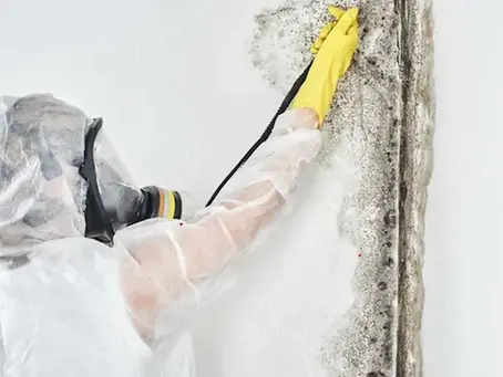 When Is Mold Remediation Better Than DIY Mold Cleaning?
