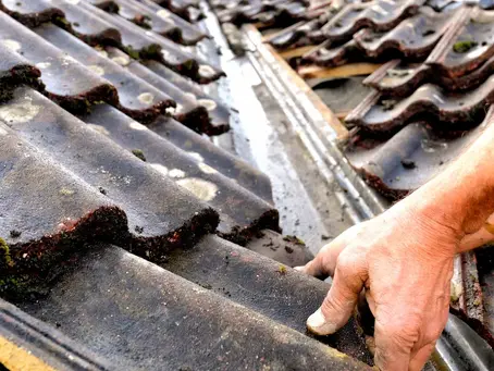 Roof Repair Guide: Leak Causes, Fixes, Costs & Replacement Tips