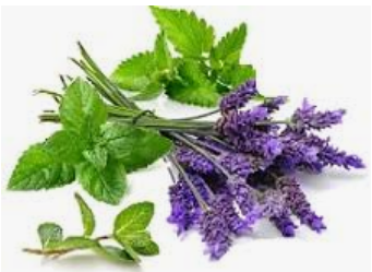 Thumbnail: Lavender Mint Moisturizing Cowash