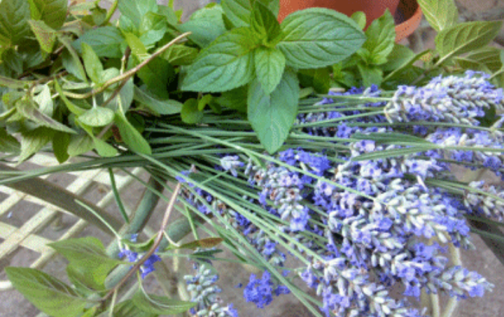 Thumbnail: Lavender Mint Nourishing Oil