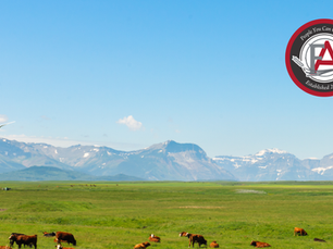 How to Manage Your Hobby Farm & Alberta Acreage with Compact Tractors from Kioti and Kubota
