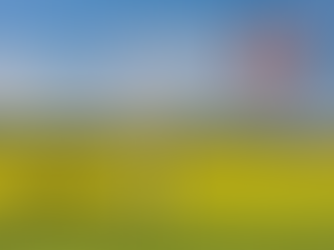 Alberta agricultural landscape with canola, blue skies and an oil pump