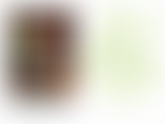 Celebrate the Joy of Holiday Branding in Red Deer