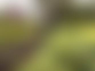 Woman walking between the rows of a large vegetable garden on her hobby farm/acreage.