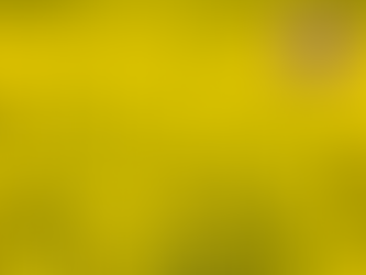 Alberta Farming News: China's Anti-Dumping Probe into Canadian Canola Imports