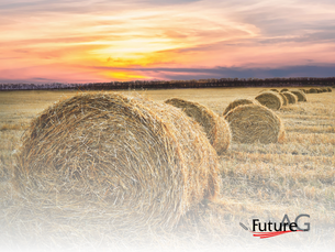What Trends Influence Precision Agriculture Globally?