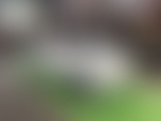 山形県 置賜/南陽市からご入庫されたフィアット チンクエチェント