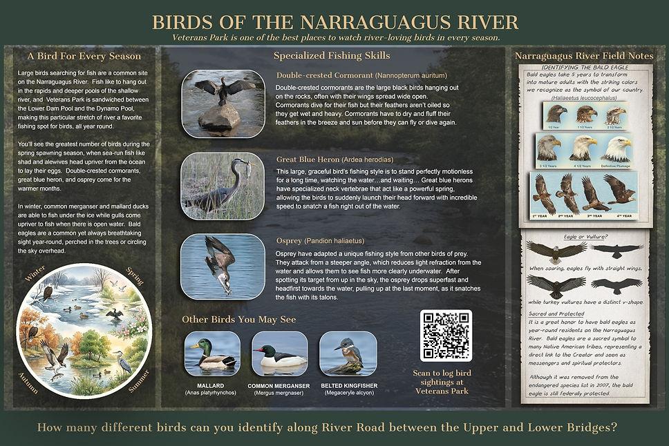 Cherryfield Maine Riverwalk Interpretive Panels 1