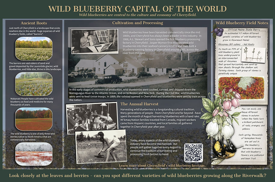 Downeast Maine DOT Interpretive panels design