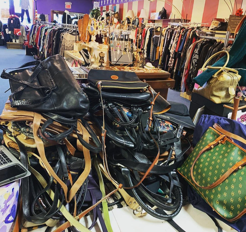 designer bags at wicked thrift_edited