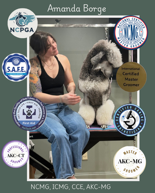 Pet Tech CPR & First Aid