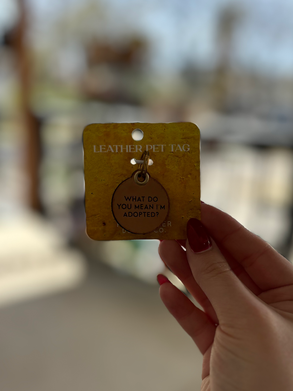 Thumbnail: Leather Pet Tags