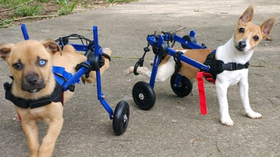 Perfectly imperfect.